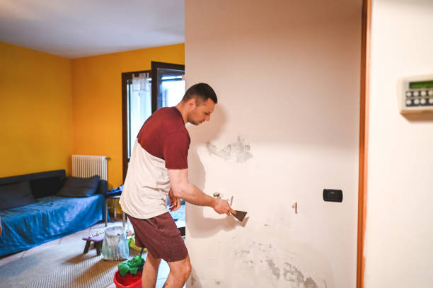 Best Attic Mold Removal  in Fairforest, SC