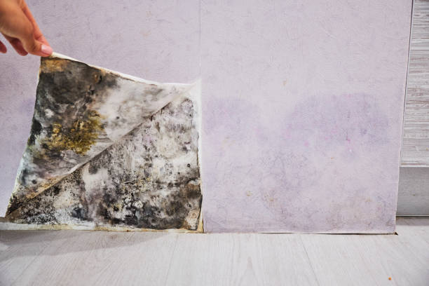 Water Damage Restoration in Fairforest, SC